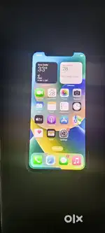 Apple Iphone X