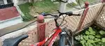 No problem onley chain delana