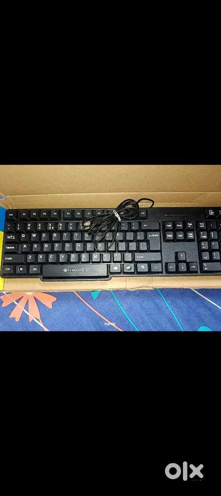 Zebronics keyboard and mouse combo