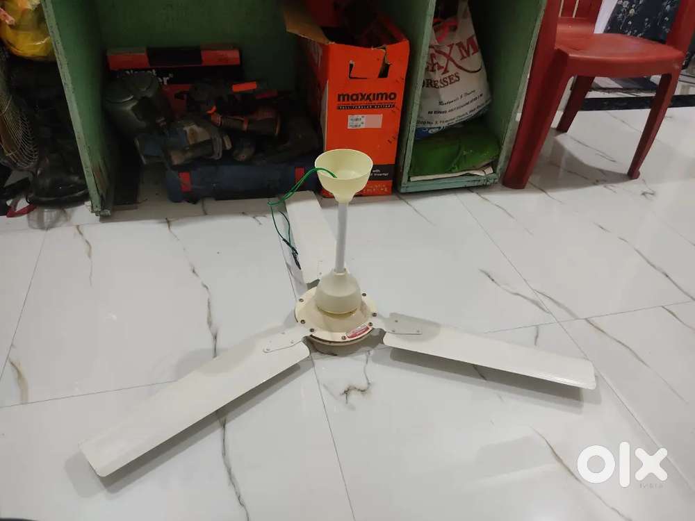 Ceiling fan