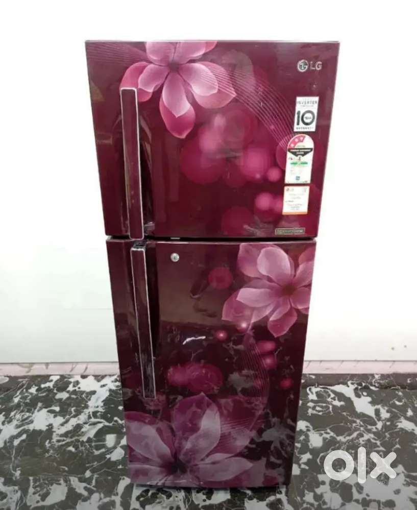 Low budget lite used double door fridges shop