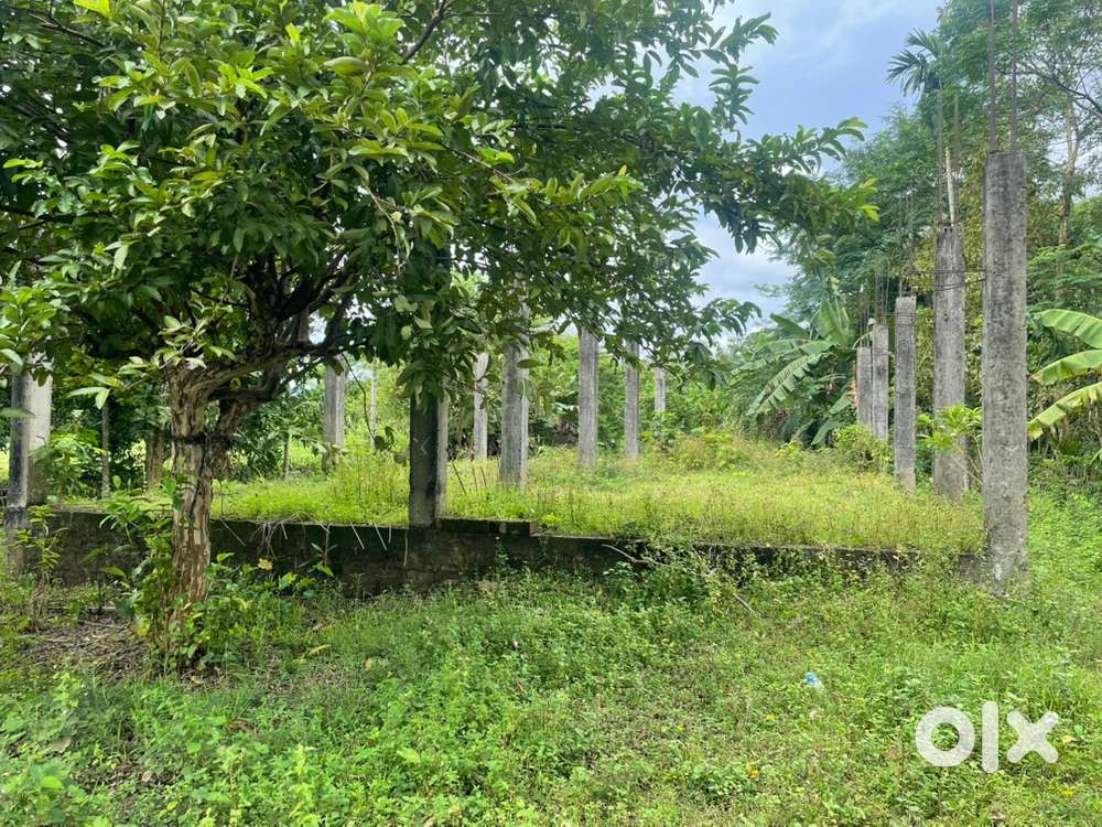 1.5 bigha myadi patta plot sale
