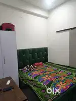 Looking for person to share Rent (Co-Living with me)