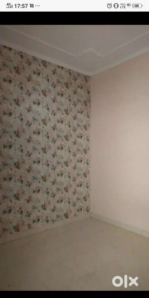 1rk society flat(dealer ads)