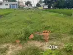 कुल 31 कड़ी पूर्वमुखी जमीन ..दो रास्ते पर है (कॉर्नर)