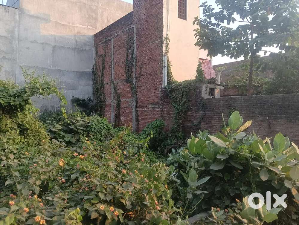 New garuna lodhi market