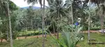 32 cent near കുന്നമംഗലം