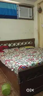 TOLET 1BHK STUDY 10000 NR GAUR CITY