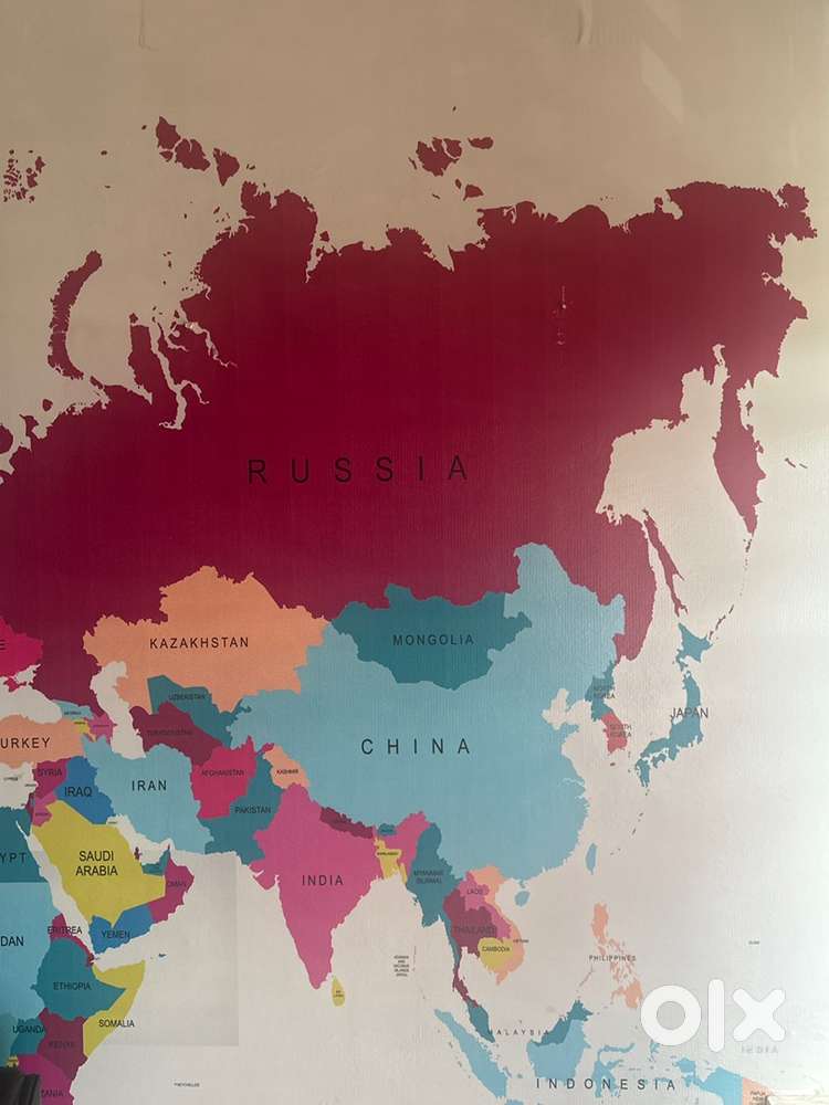 Jobs in IMMIGRATION OFFICE in MOHALI