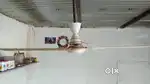 Ceiling Fan