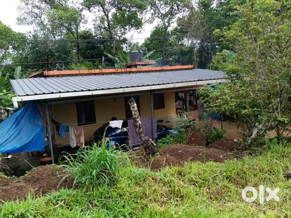 House and plot