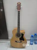 Guitar New