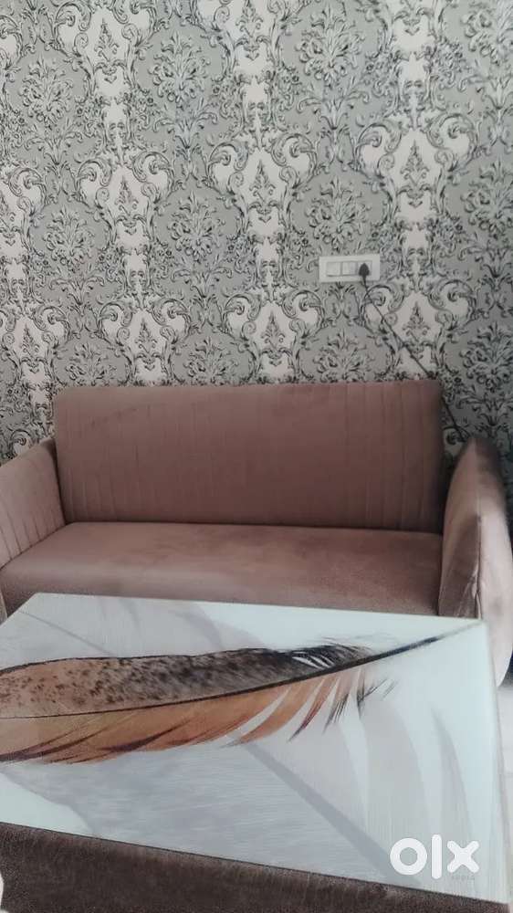 6 month old morden sofa&center table,five star washingmachine, Aqua RO