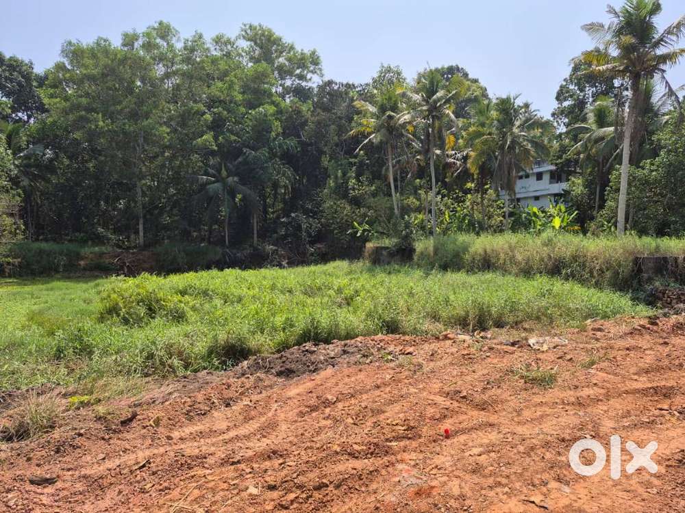 64 Cent Land for Sale at Veganoor