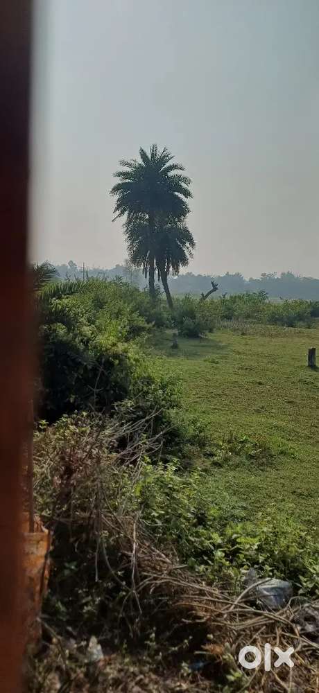 12 katha plot urgent selling. Road side plot.Rajbandh Manikara road.