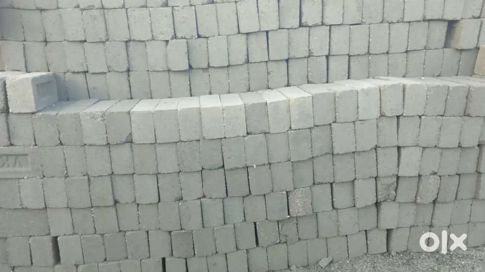 Fly ash bricks