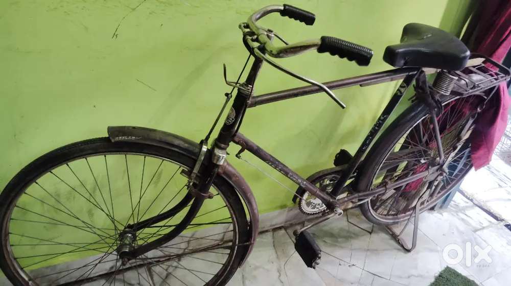 Neelam cycle