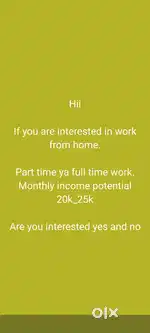 Work from home online
