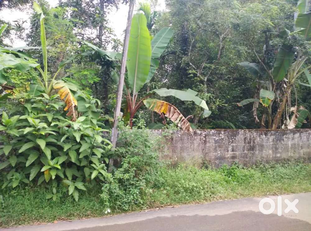 10 cent original land Nedumbassery paravur road chengamanad aduvassery