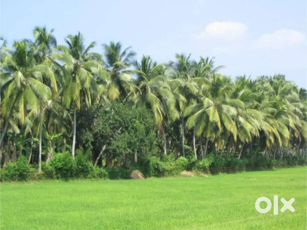 കൃഷി സംബന്ധമായ എല്ലാ ജോലികളും ഉത്തരവാദിത്തത്തോടെ ചെയ്ത് കൊടുകുന്നു.