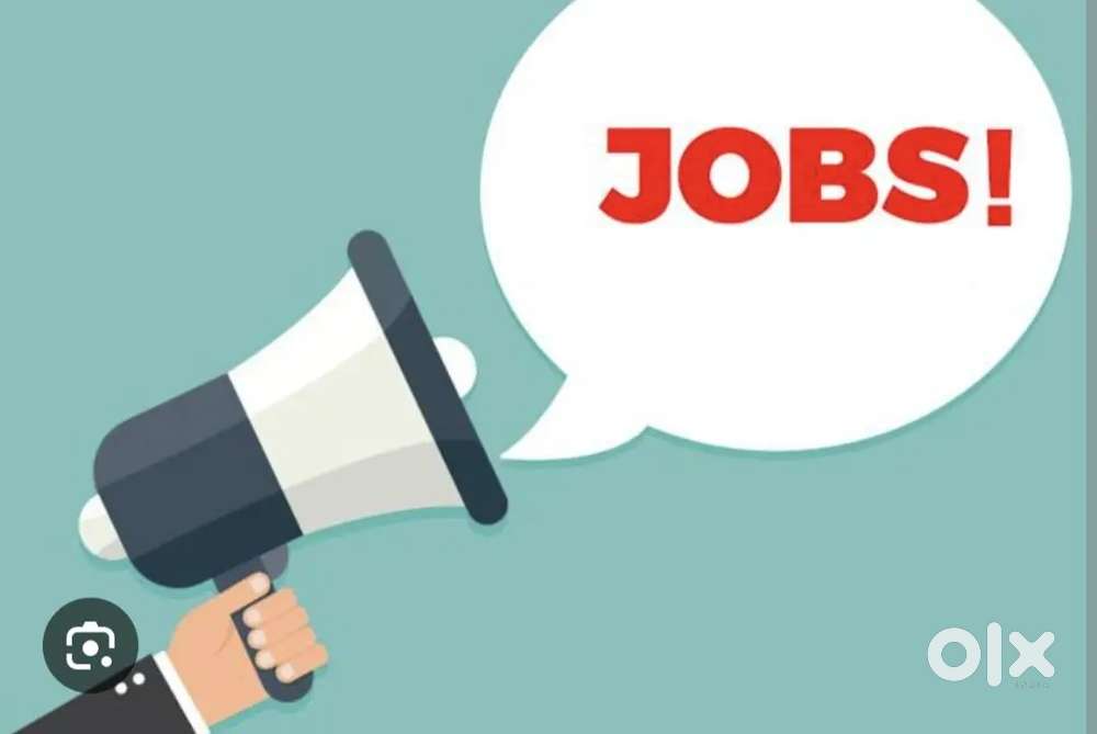 Data entry executive