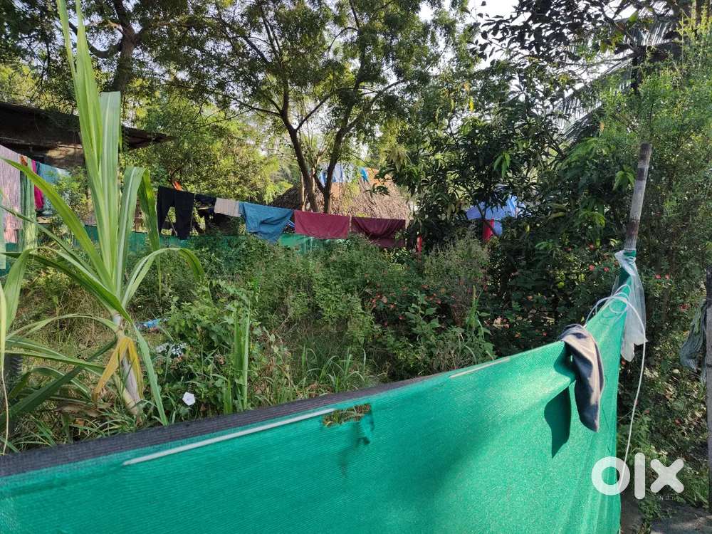 6 cents plot for sale in polamuru