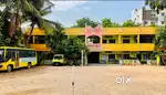 Primary english teacher