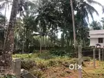 Land in Nanminda, Kozhikode