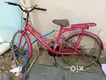 ATLAS BEAUTY - Ladies Cycle