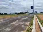 Low Budget DTCP land for in Kinathukadavu