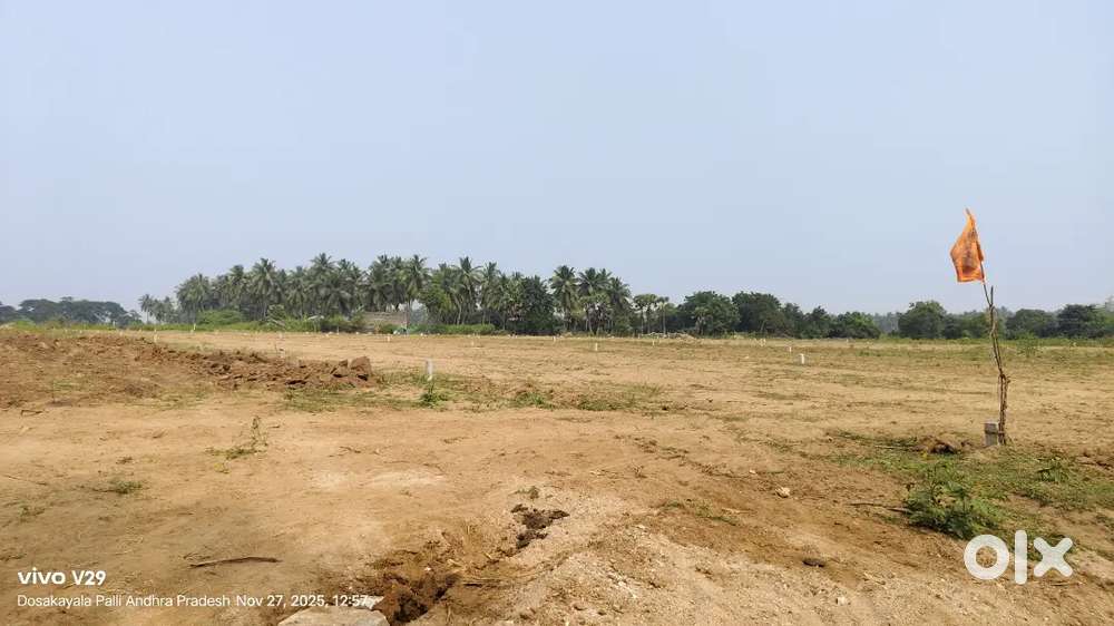 108 sqy 7 lakhs fixed Rate friendly budget plots at Gadala