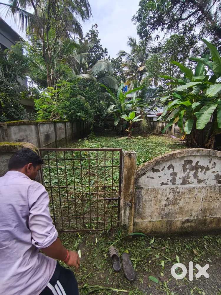 Plot for Making House