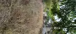 Main Road commercial plot