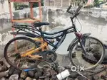 Hercules cycle