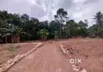 4,5,6,10 cents of land near Vattappara. Just 800from MC Road .