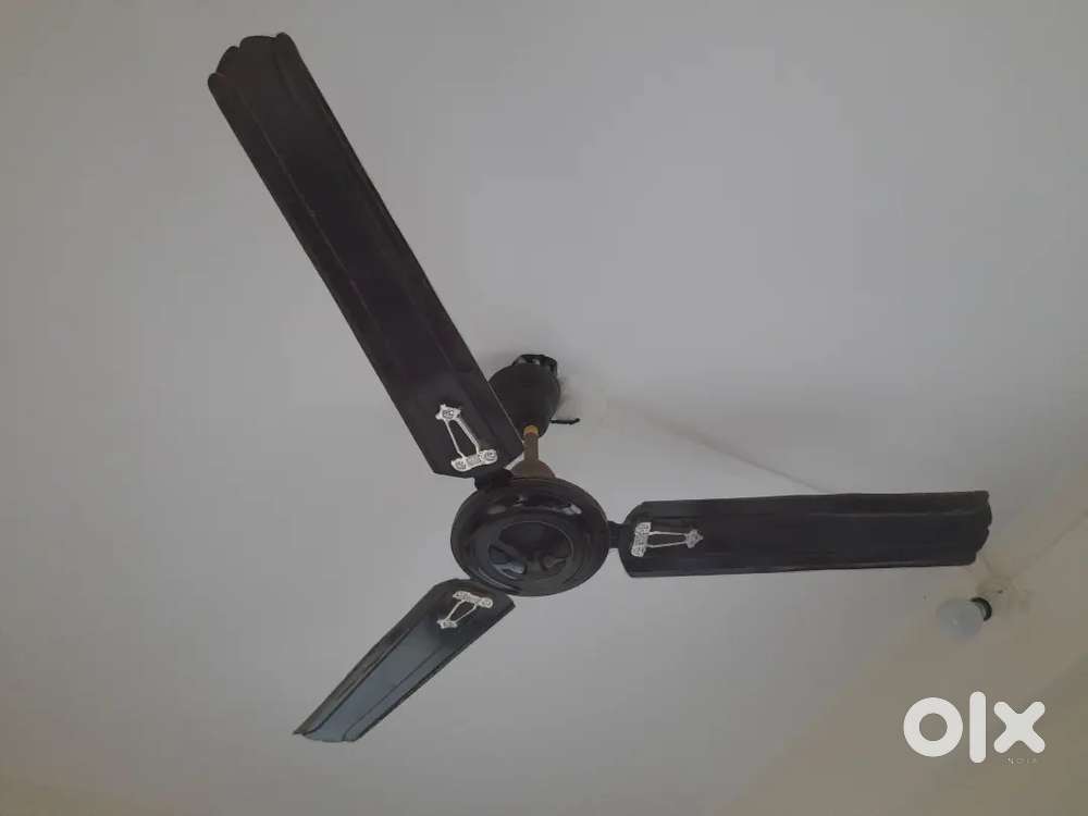 Fan ceiling  fan पंखा