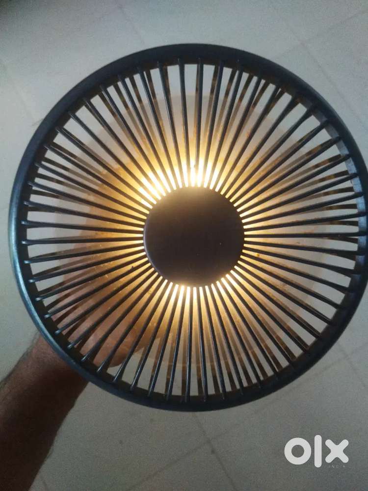 Chargeable fan with light