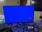TV 43’inc with Speaker (2 years old)