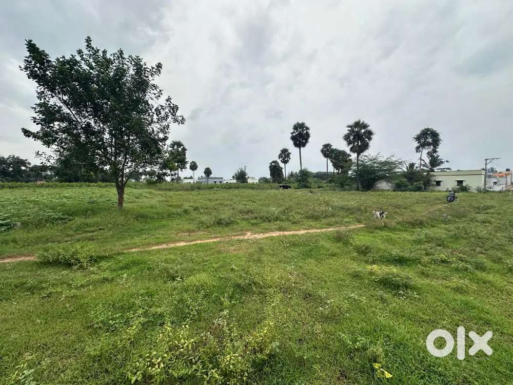 21 cent land for sale Omalur, Salem