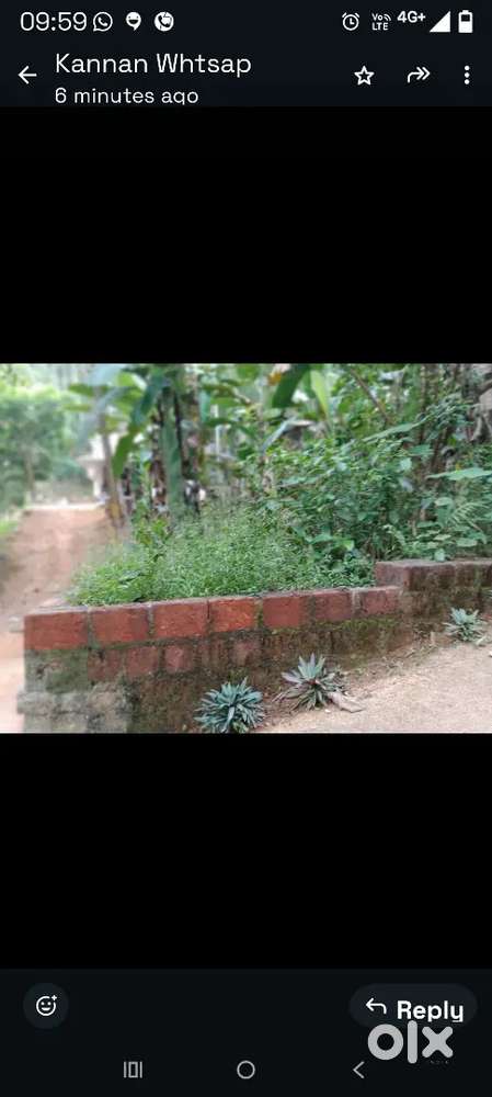 15 cents original land for sale