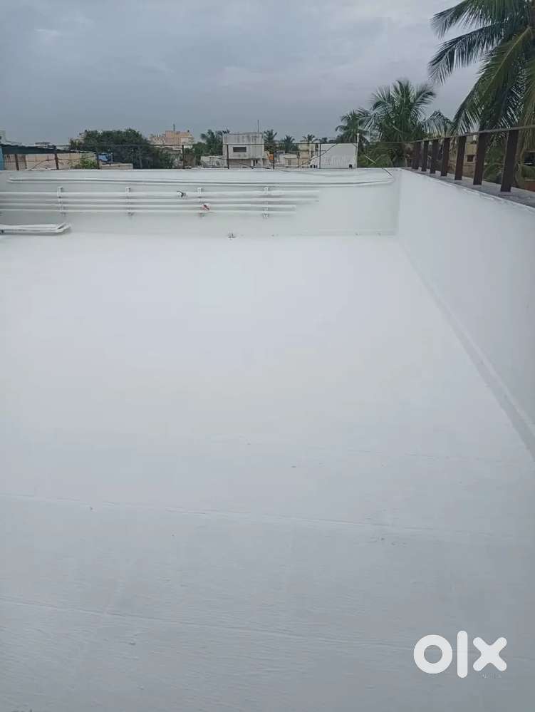 Wanted painters and helpers