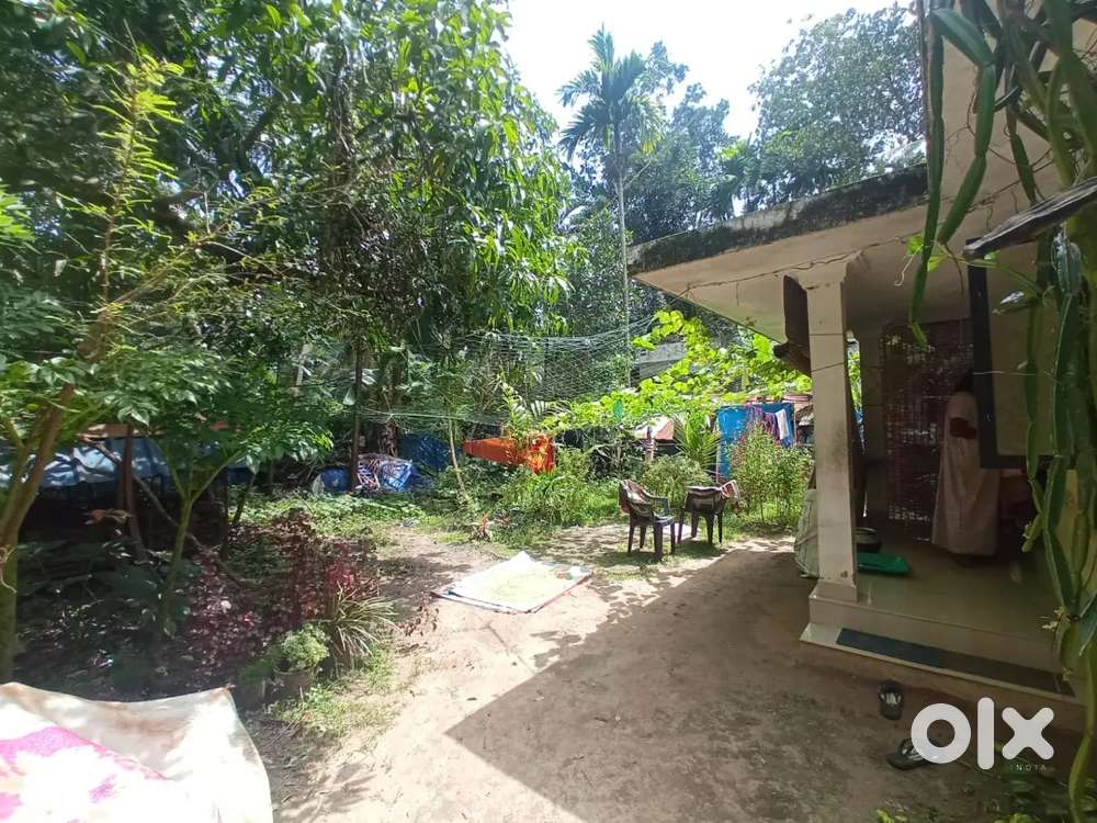 For Immediate Sale – Charming Home on 7.5 Cents at Perumpalam Island