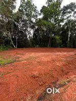 11 Cents site for sale in padnoor