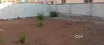 200 sqyds plot for sale in Rampally