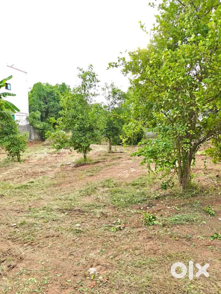 Near by Kattankulathur railway station /price Rs.3500 sqft