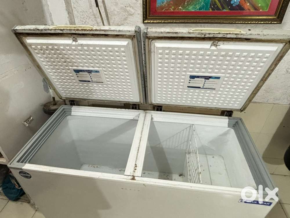 Bluestar fridge / Deep freezer. 400 litres. Resale good condition