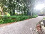 10 CENT ORGINAL LAND FOR SALE IN KAKKANAD NEAR  NAVIDHAYA JUNCTION