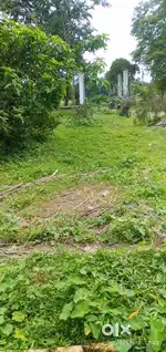 Land for sale 2.10katha (Adha bigha)