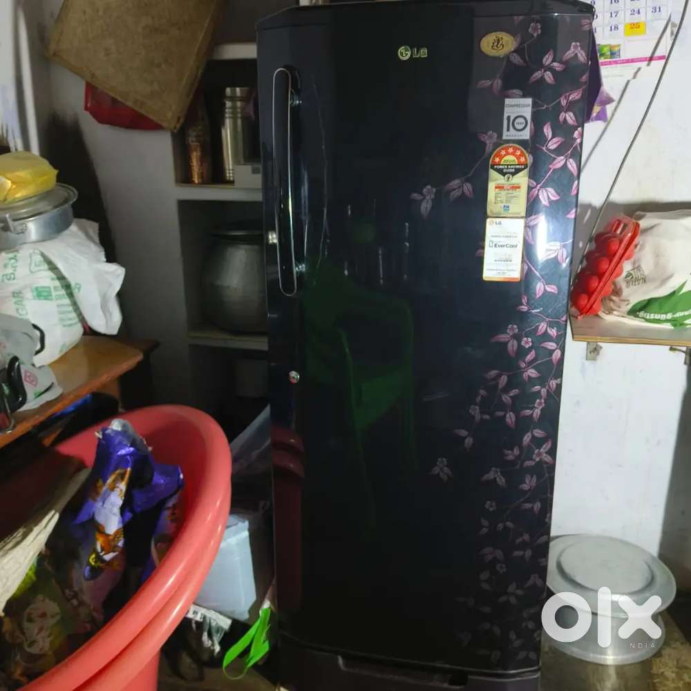Lg fridge for the best value