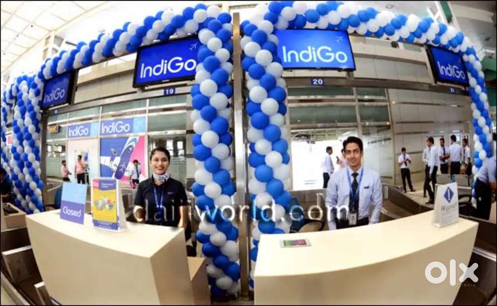 Cabin Crew/Airport Ground Staff Jobs in Indigo airlines apply fast.